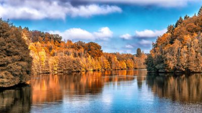 En å slingrar sig mellan höstfärgade träd och solen skiner.