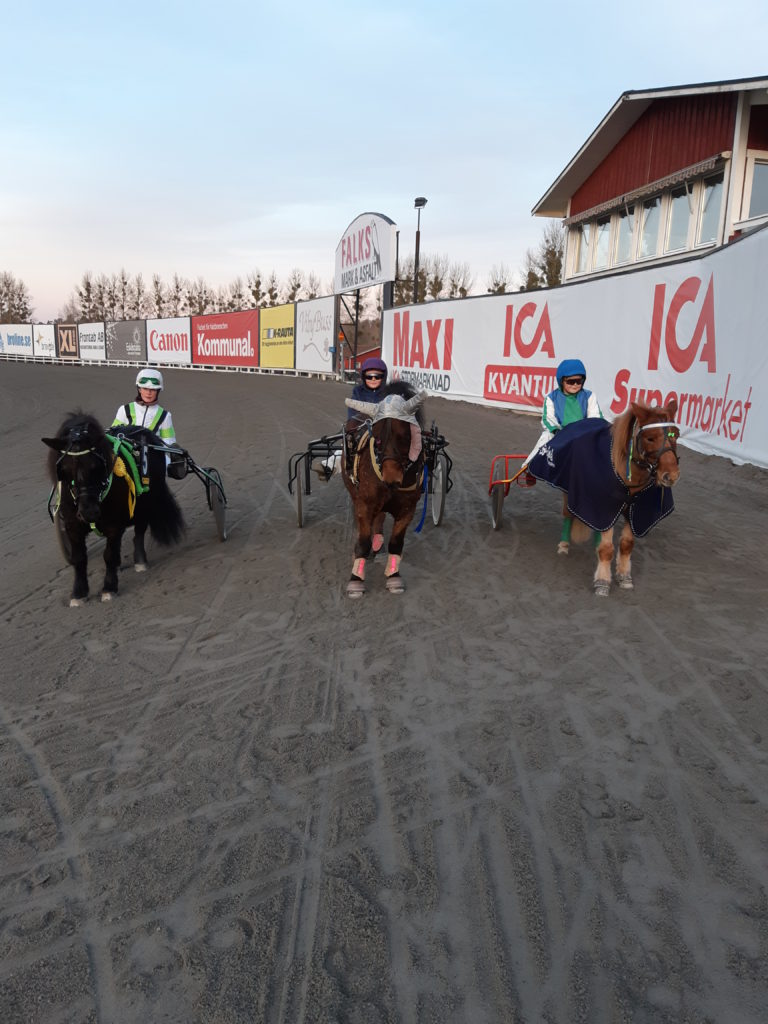 Vinnarna i ponnytravet står i rad på travbanan