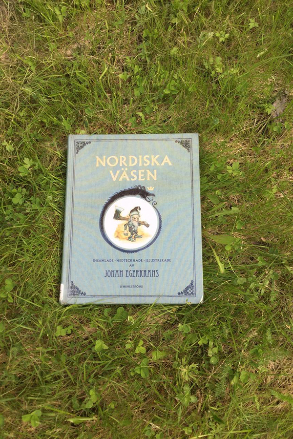 Foto på boken Nordiska väsen