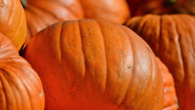 Flera orangea pumpor