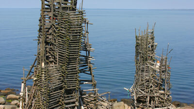 Nimis fyller 40 år.