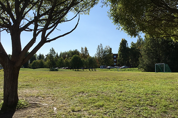 En stor öde gräsmatta med två mål.