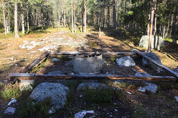 En eldstad i skogen med bänkar runt omkring.