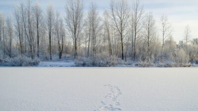 Fotspår på en sjö som frusit