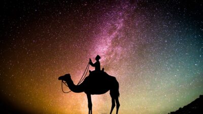 En person rider på en kamel